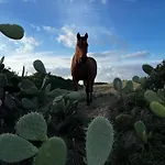 شقة Dolce