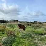 شقة Dolce