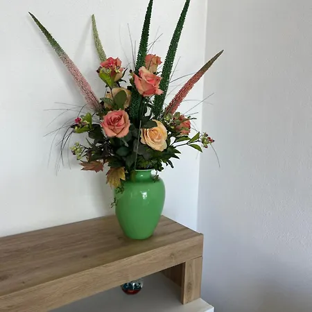 Dolce * فاليدوريا